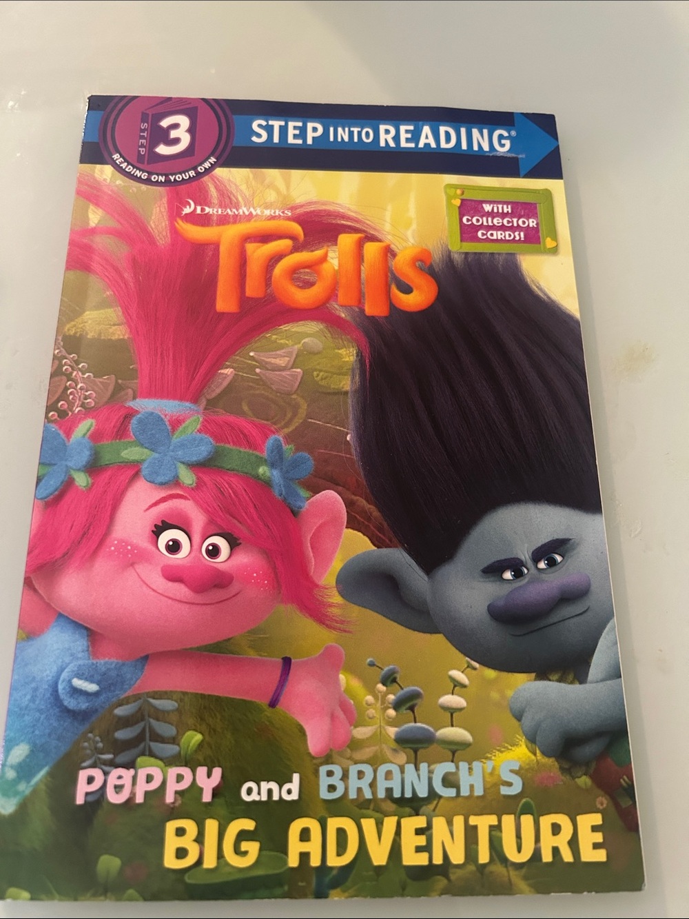 Step into Reading: Trolls Poppy and Branch's Big Adventure - Pink & Gray